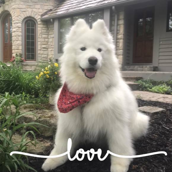 Meet your Posher, Brenda - Picture 1 of 1